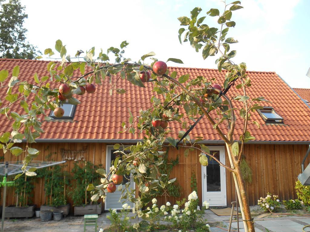 Bij En Boom Bed & Breakfast Drachten Exterior foto